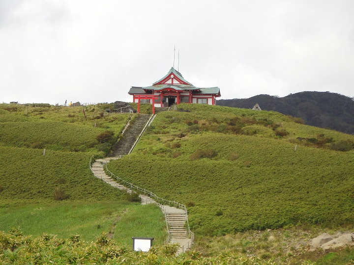 �V��̎Гa�E�������{�_��