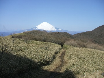 ��x����_�R��