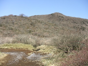 �h���򕪊�̏�