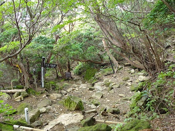 ��O�J����