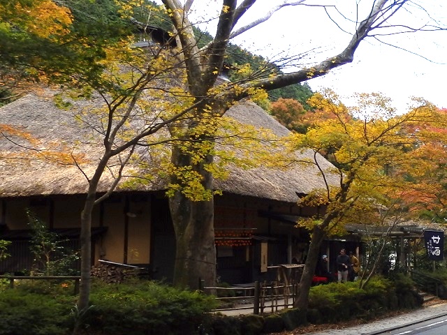 �g�t�̔������X���E�Î𒃉�