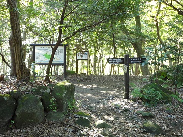 ���_����