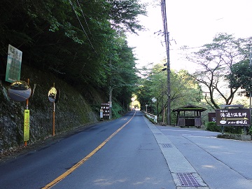 �����{����