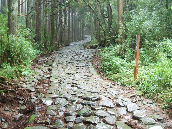 �������X���̐Ώ�