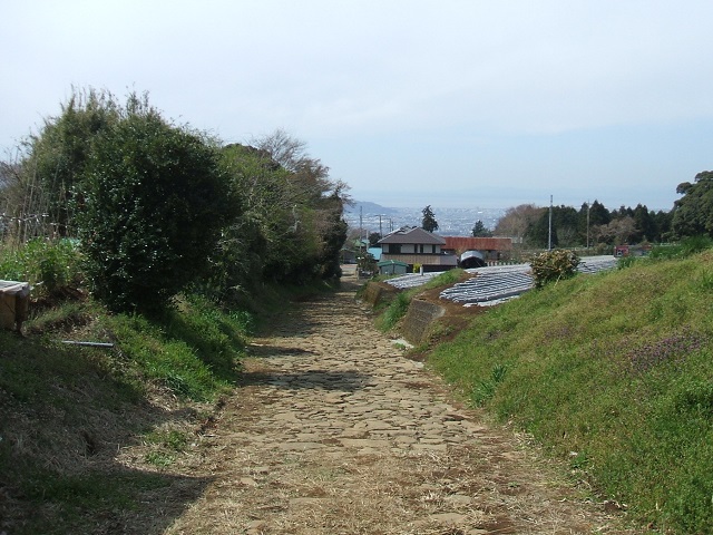 �������X���E�����ꗢ�˂̐Ώ�