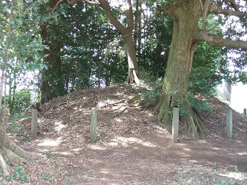 �����ꗢ��