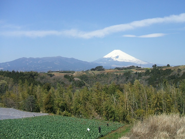 �������X���i����j���猩���x�m�R