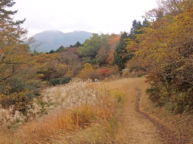 �����E����H�A��ԎR�̍g�t