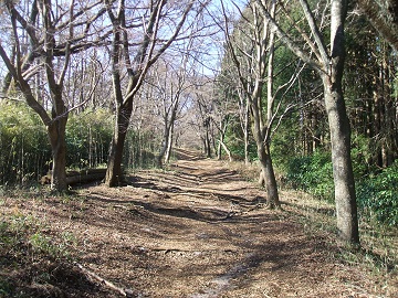 ����R�t��