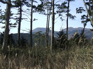 ��x���ʂ̓W�]