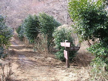 ���O�J����