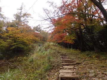 �鑃�R�ւ̓�