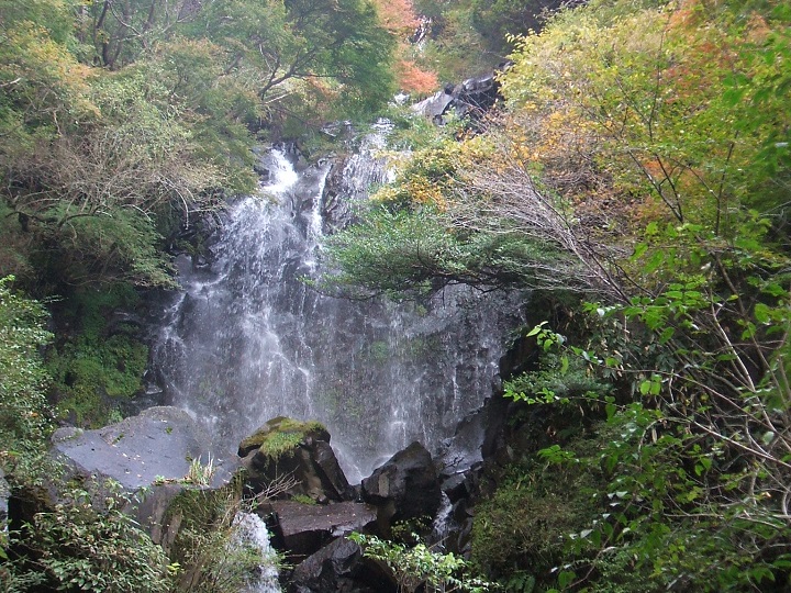 �g�t�̔����E�򗳃m��