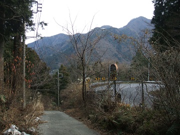 �����V��