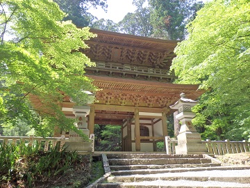 ��Y�R�ŏ掛�E�m����