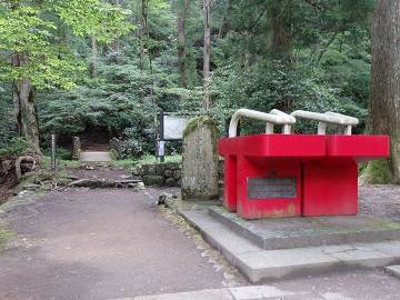 ��Y�R�ŏ掛�̘a������