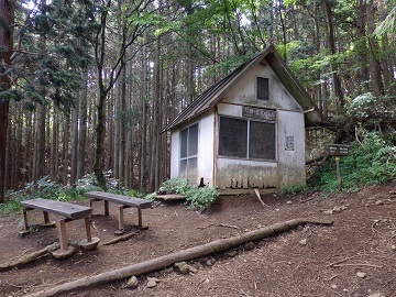 ���_���x�̌�������