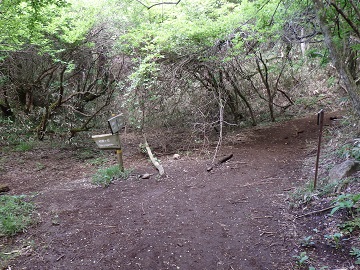 ���_���x�ւ̓�