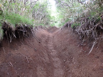 ���_���x����