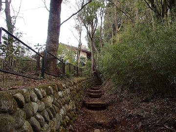 �ʑ��n���̓�