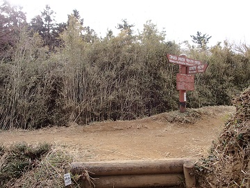 �����ɏo��