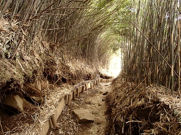 �n�R�l�_�P