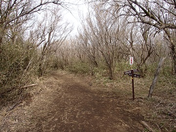 �ˌ��w����̓�������