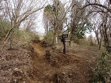 ����������̓�������