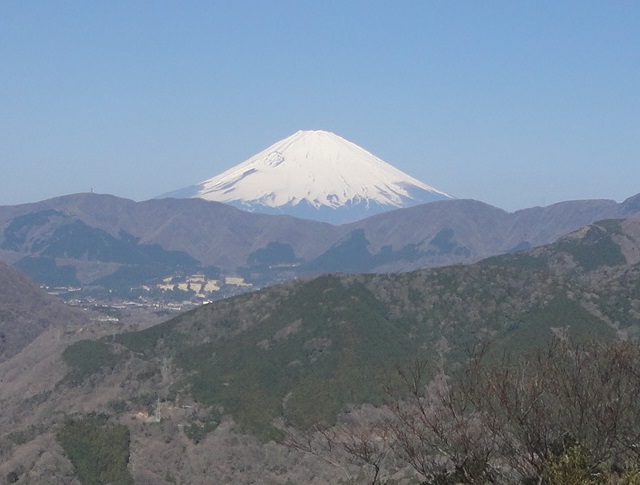 �������x���猩���x�m�R