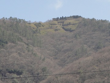 �{��싴������������x�̑啶��