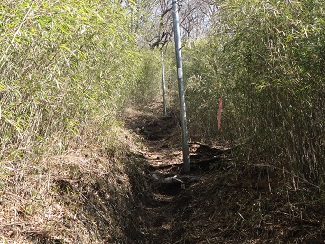 �������x�ւ̓o�R��