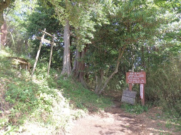 �������x�E�R��