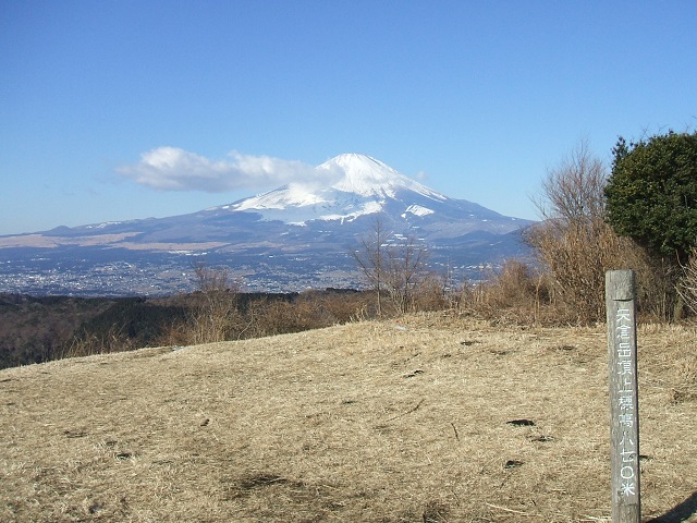 �����E��q�x����x�m�R�̒���