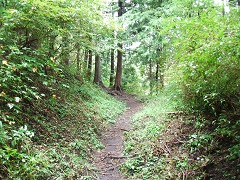 �����Ó�