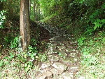 �����Ó�