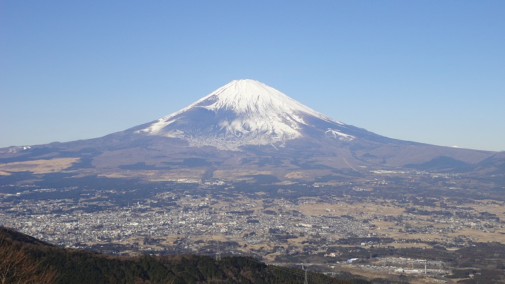 ���������猩���x�m�R