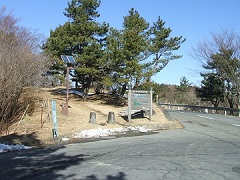 �������t����