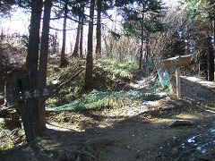 �����z��