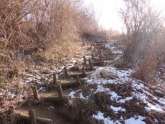 ��q�x�ւ̓�