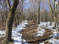 ��q��ւ̓�