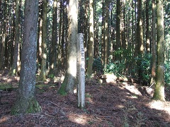 �l������