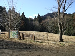 �Q�P���I�̐X