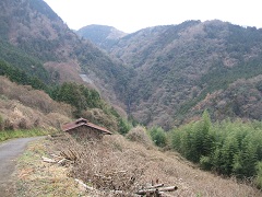 �����̑ꂪ������