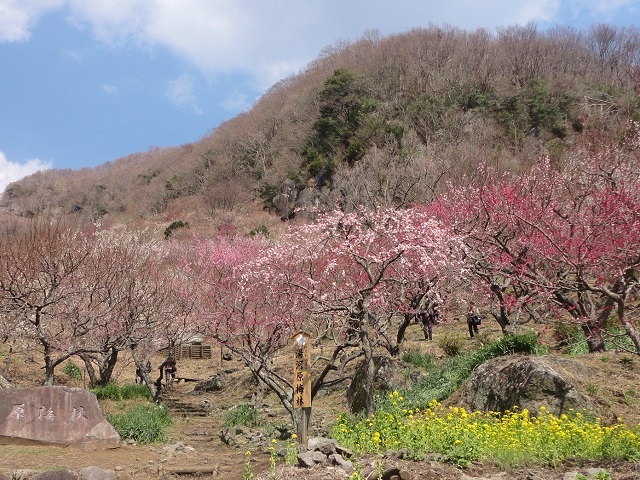 �~���炭���t�̓��͌��E���R