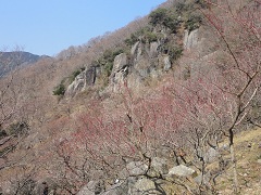 ���b�N�N���C�~���O�̊��