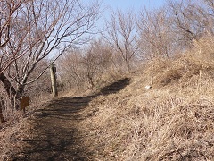 ����R�[�X�����؂�