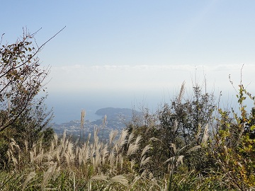 ���R���猩���^�ߔ���