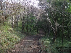 ���R���牺��