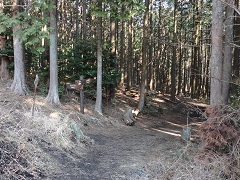 ��Ε��ւ̕���