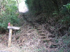 �싽�R�ւ̓o���